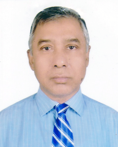 অধ্যাপক আবুল বাসার মোঃ মিজানুর রহমান আনসারী